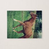 Schots Legpuzzel (Horizontaal)