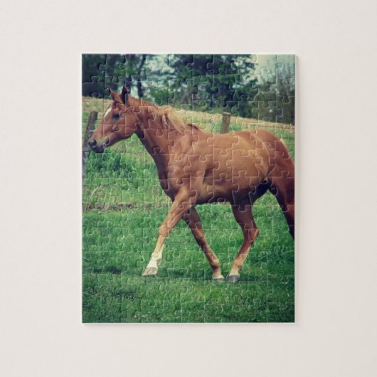 Schots Legpuzzel (Verticaal)