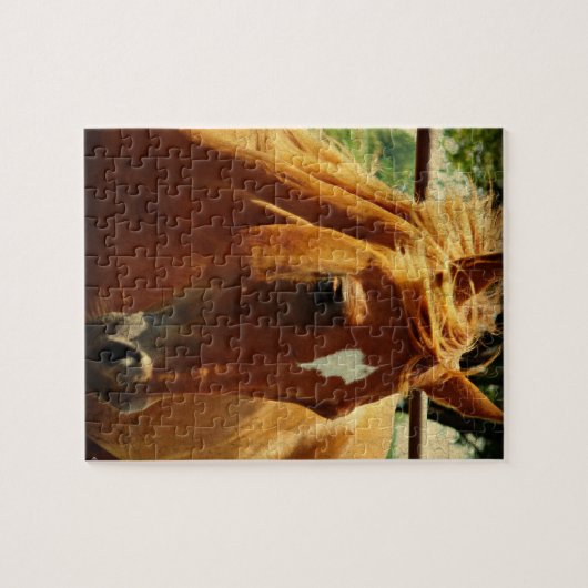 Schots Legpuzzel (Horizontaal)