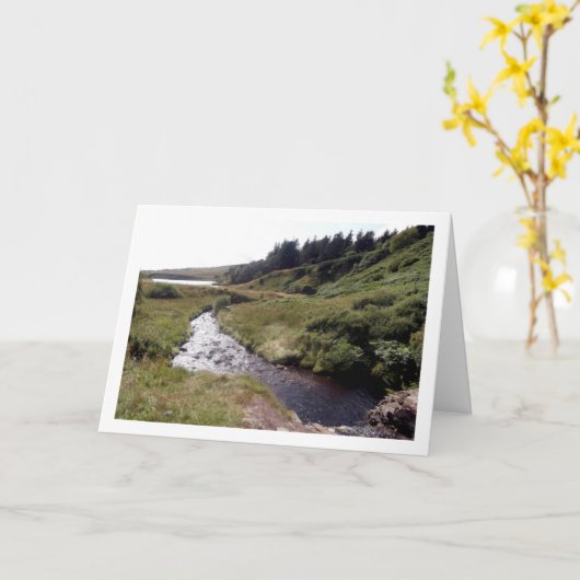 Schots meervlandscape kaart (Gele Bloem)