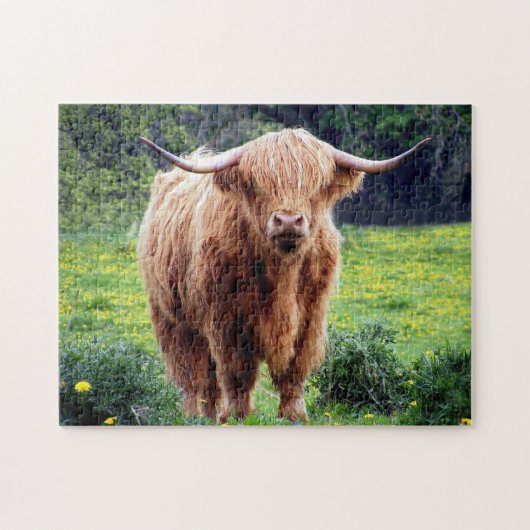 Schots-Oxen. Legpuzzel (Horizontaal)