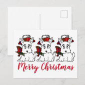 Schots, Petten en koeien Briefkaart (Voorkant / Achterkant)