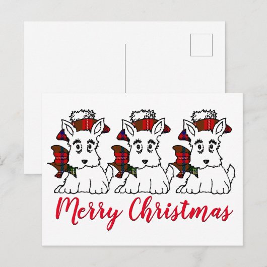 Schots, Petten en koeien Briefkaart (Voorkant / Achterkant)