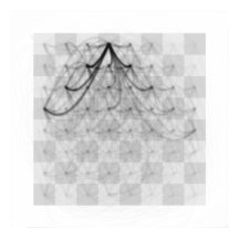 Schots-pichtritten (zwarte koningin)