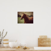 Schots Poster (Keuken)