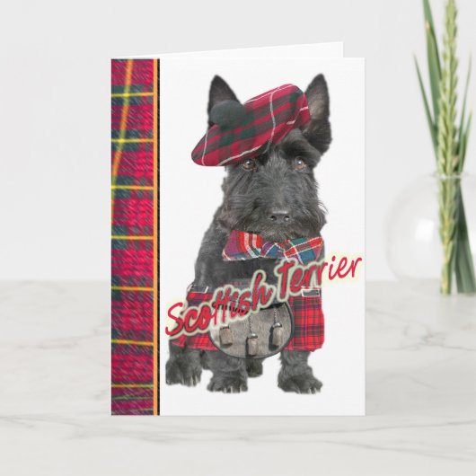 Schots Terrier in de wenskaarten van de Kilt Kaart (Voorkant)