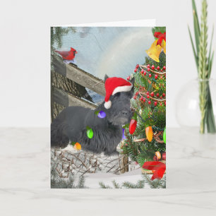 Schots Terrier verfraait Kerstboom Feestdagen Kaart