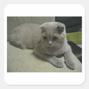 Schots-voudig leggen 2.png vierkante sticker