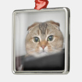 Schots vouw bang metalen ornament (Links)