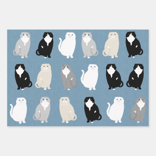 Schots vouw inpakpapier vel (Voorkant)