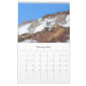 Schots wild, vrij en vrij kalender (Feb 2027)