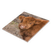 Schotse baby Hogeland Tegeltje (Zijkant)