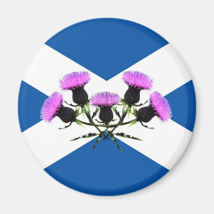 Schotse bloem magneet