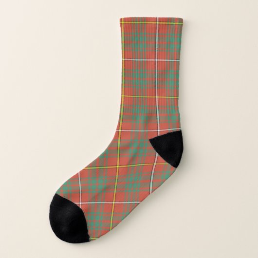 Schotse Clan Bruce Oud Tartan Schort Sokken (Links - buitenkant)