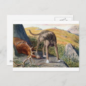 Schotse deerhound briefkaart (Voorkant / Achterkant)