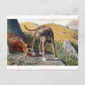Schotse deerhound briefkaart (Voorkant)
