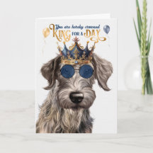 Schotse Deerhound Dog King voor Dag Grappige Verja