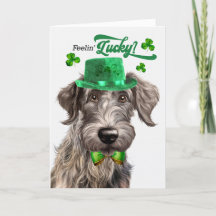 Schotse Deerhound Dog Lucky St Patrick's Day