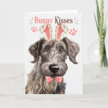 Schotse Deerhound Hond in Bunny Ears voor Pasen