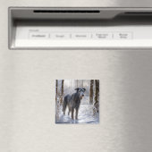 Schotse Deerhound Laat het sneeuwen Kerstmis Magneet (Insitu (Vaatwasser))