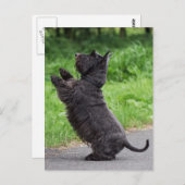 schotse doodsbang briefkaart (Voorkant / Achterkant)