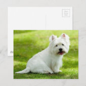 schotse doodsbang briefkaart (Voorkant / Achterkant)