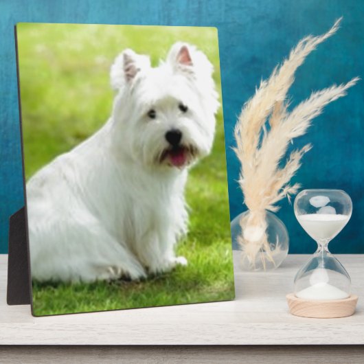 schotse doodsbang fotoplaat (Zijkant)