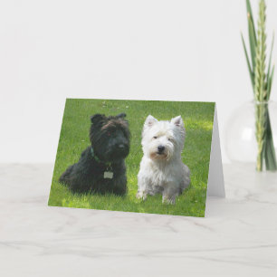 Schotse en West Highland Terriers Greenwood Kaart