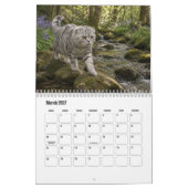 Schotse Fold Kat Kalendar Kalender (Mar 2027)