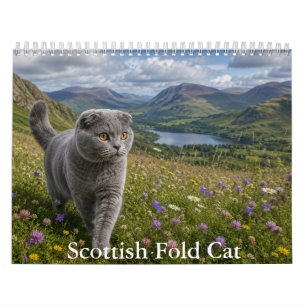 Schotse Fold Kat Kalendar Kalender