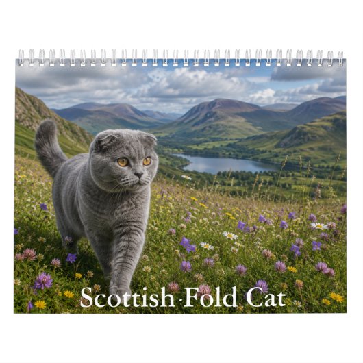 Schotse Fold Kat Kalendar Kalender (Hoes)