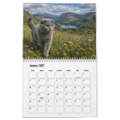Schotse Fold Kat Kalendar Kalender (Jan 2027)