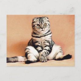 Schotse gevouwen kat zittend op een bank Postcross Briefkaart