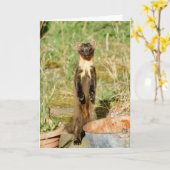 Schotse grenenmartenkaart kaart (Gele Bloem)