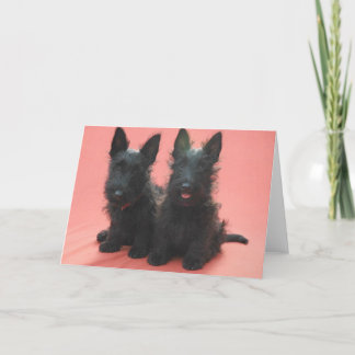 Schotse het "puppy"wenskaarten van Terrier Kaart