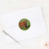 Schotse Highland Cattle Stickers (Envelop)