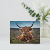 Schotse Highland Koe Longhorn Stier Rancher Briefkaart (Staand voorkant)