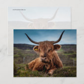 Schotse Highland Koe Longhorn Stier Rancher Briefkaart (Voorkant / Achterkant)