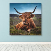 Schotse Highland Koe Longhorn Stier Rancher Canvas Afdruk (Insitu (Houten vloer))