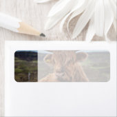 Schotse Highland Koe Longhorn Stier Rancher Etiket (Insitu)