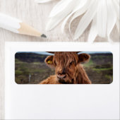 Schotse Highland Koe Longhorn Stier Rancher Etiket (Insitu)