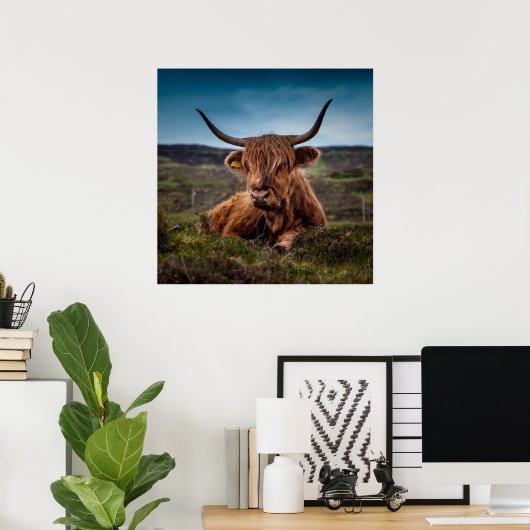Schotse Highland Koe Longhorn Stier Rancher Poster (Thuiskantoor)