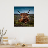 Schotse Highland Koe Longhorn Stier Rancher Poster (Keuken)