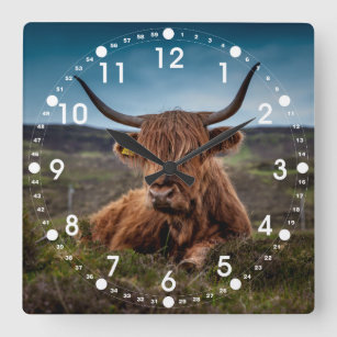 Schotse Highland Koe Longhorn Stier Rancher Vierkante Klok