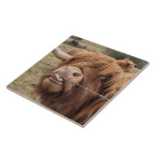 Schotse hoerenkuiberg tegeltje (Zijkant)