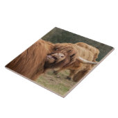 Schotse hoerenkuiberg tegeltje (Zijkant)