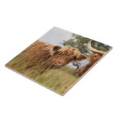 Schotse hoerenkuiberg tegeltje (Zijkant)