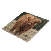 Schotse hoerenkuiberg tegeltje (Zijkant)