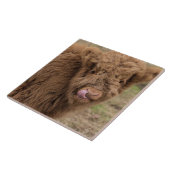 Schotse hoerenkuiberg tegeltje (Zijkant)