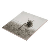 Schotse hoerenkuiberg tegeltje (Zijkant)